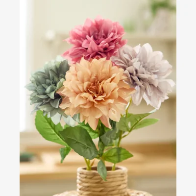 Dibor Sunset Dahlia Bunch