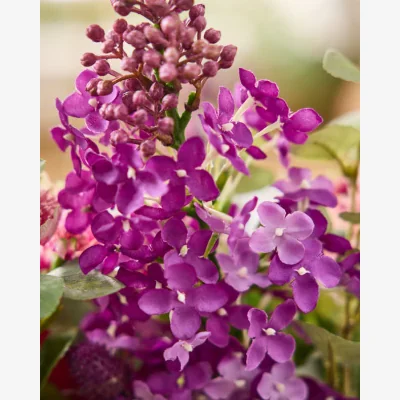 Dibor Artificial Blooms in Jug Vase