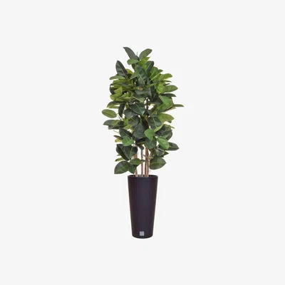 Furniture Village Ficus Tree in Round Pot