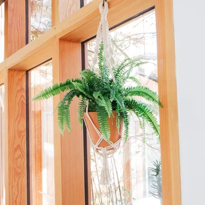Graham & Green Macramé Terracotta Plant Pot