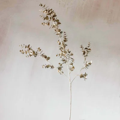 Graham & Green Eucalyptus Glitter Stem