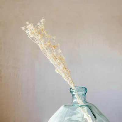 Graham & Green Dried White Sea Holly Bunch
