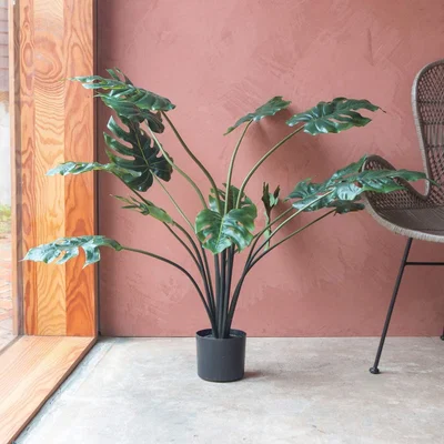 Graham & Green Faux Monstera Palm