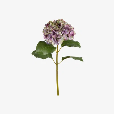 Graham & Green Faux Purple Hydrangea Stem