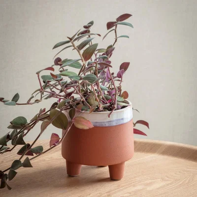 Graham & Green Halston Small Terracotta Pot