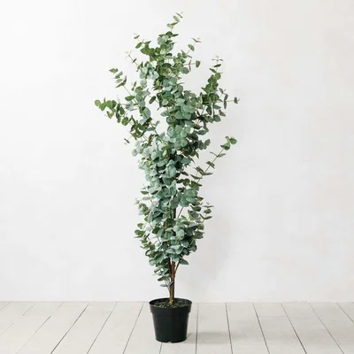 Graham & Green Faux Potted Eucalyptus Tree