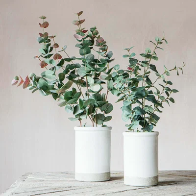 Graham & Green Large Crackle Pot