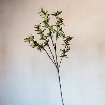 Graham & Green Faux Green Brushwood Stem