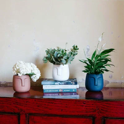 Graham & Green Dark Blue Face Planter