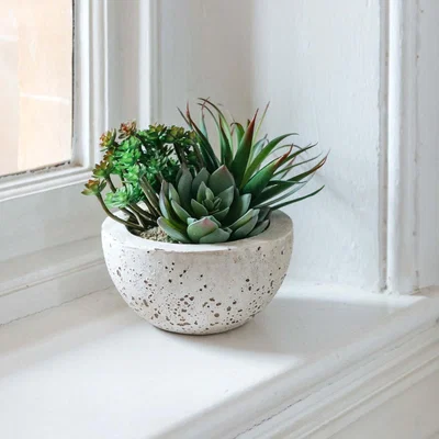 Graham & Green Faux Succulents Bowl