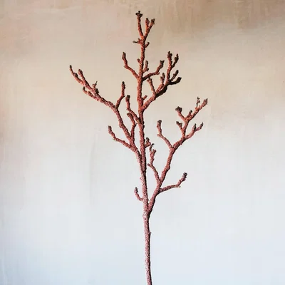 Graham & Green Large Faux Coral Spray
