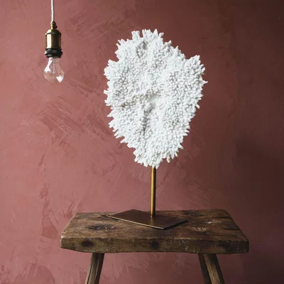 Graham & Green Faux Coral on Stand