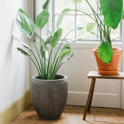 Graham & Green Grey Ribbed Planter