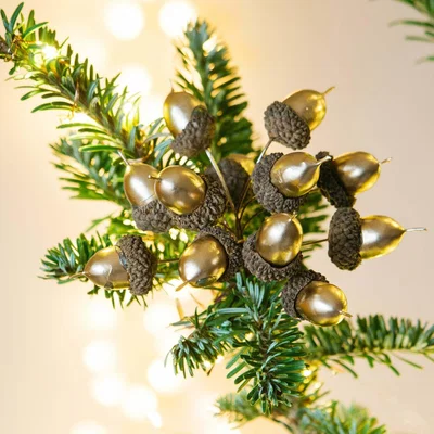Graham & Green Gold Acorn Bunch
