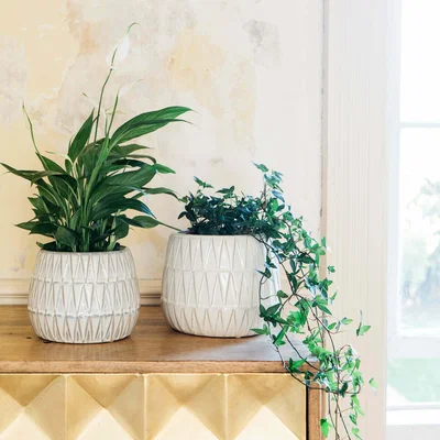 Graham & Green Medium Triangle Glazed Planter