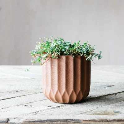 Graham & Green Small Brown Ribbed Cement Planter