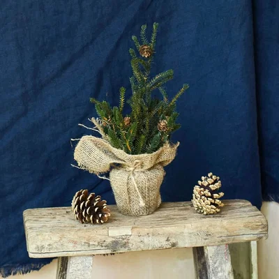 Graham & Green Faux Potted Mini Pine Tree