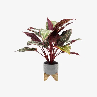 Habitat Habitat Faux Plant on Standing Pot - Grey
