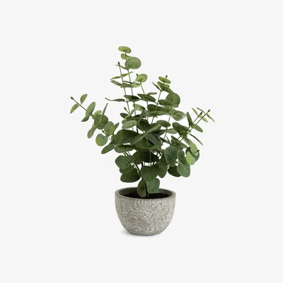 Habitat Habitat Artificial Eucalyptus Plant in Grey Pot