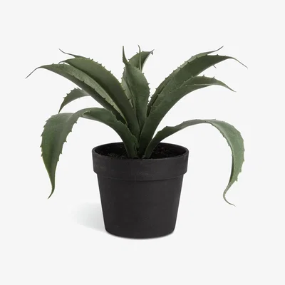 Habitat Habitat Artificial Medium Pineapple Plant - Green