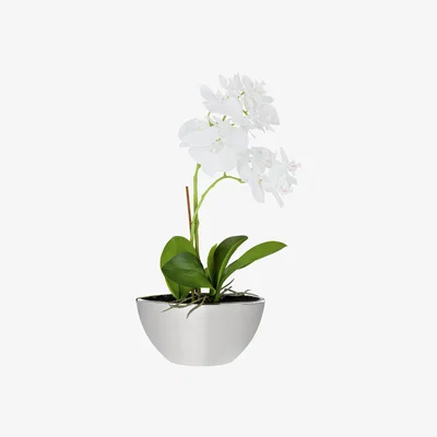Habitat Habitat Orchid Artificial Arrangement in Mirrored Pot - Grey