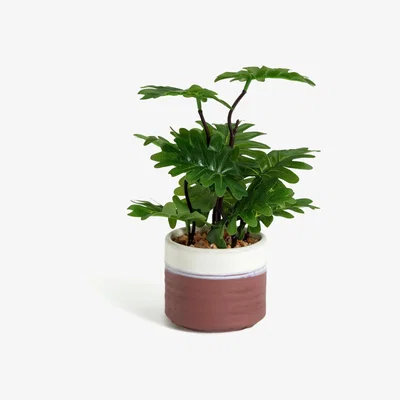 Habitat Habitat Artificial Faux Floral in Ceramic Pot - Terracotta