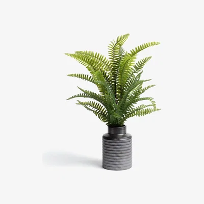 Habitat Habitat Eden Large Artificial Fern