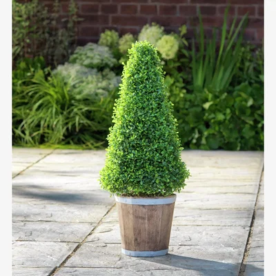 Habitat Garden by Sainsbury's Faux Cone Tree Wooden Pot