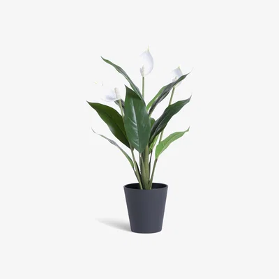 Habitat Habitat Large Artificial Peace Lily Plant - White