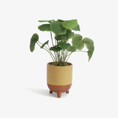 Habitat Habitat Mid Century Large Floral Artificial Plant