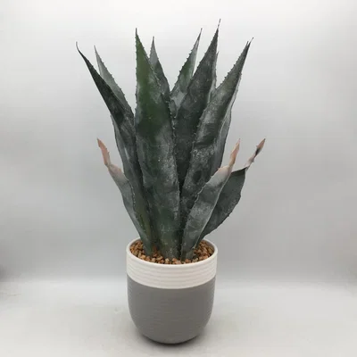 Habitat Habitat Artificial Aloe in Ceramic Pot