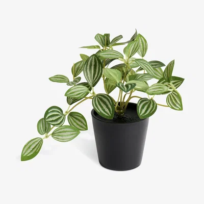 Habitat Habitat Small Artificial Trailing Plant - Green