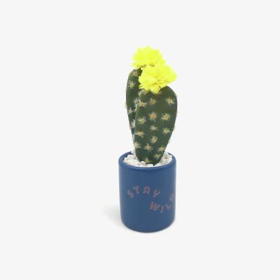Habitat Habitat Faux Cactus - Blue
