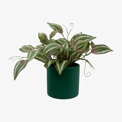 Habitat Habitat Artificial Tradescantia in Green Pot