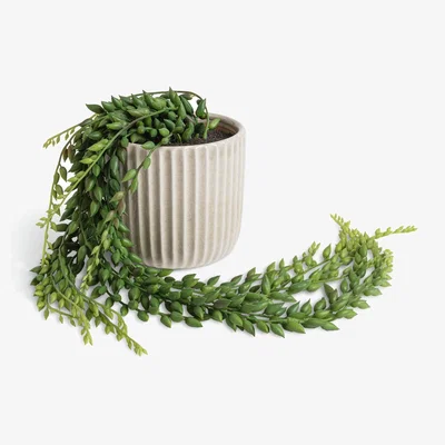 Habitat Habitat Artificial Trailing Plant in Ribbed Ceramic Pot