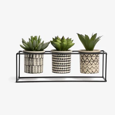 Habitat Habitat Faux Patterned Succulents in Stand - Set of 3