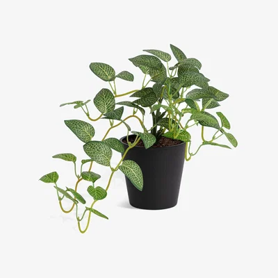 Habitat Habitat Medium Artificial Topiary Plant - Natural