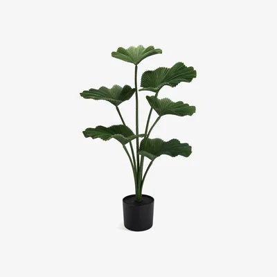 Habitat Habitat Artificial Green Licuala Palm Plant - 58cm