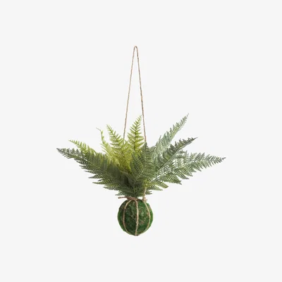 Habitat Habitat Eden Artificial Hanging Moss Plant