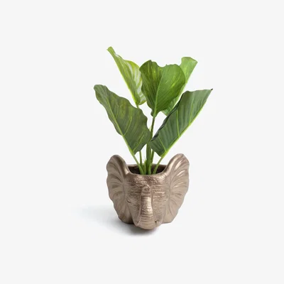 Habitat Habitat Agra Elephant Artificial Plant