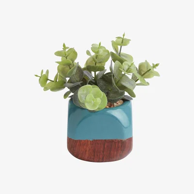 Habitat Habitat Mid Century Floral Succulents - Blue & Brown