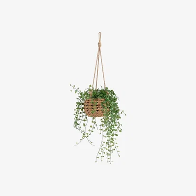 Habitat Habitat Hanging Basket with Artificial Trailing Plant