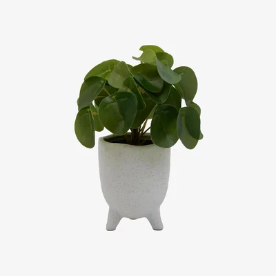 Habitat Habitat Artificial Faux Floral Small Money Plant