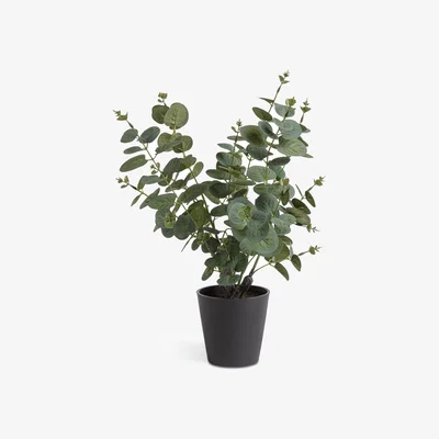 Habitat Habitat Artificial Large Eucalyptus Plant in Matte Black Pot