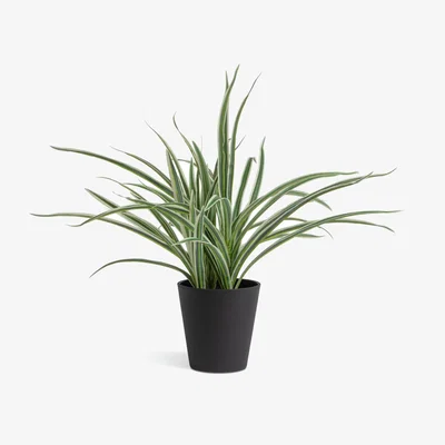 Habitat Argos Home Large Faux Spider Plant - Green