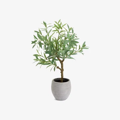 Habitat Habitat Artificial Green Olive Tree in White Resin Pot