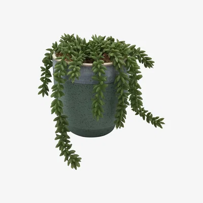 Habitat Habitat Trailing Speckled Pot - Grey