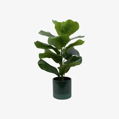 Habitat Habitat Eden Large Floral Artificial Succulent