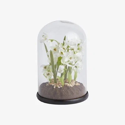 Habitat Habitat Floral in Glass Cloche
