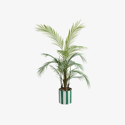 Habitat Argos Faux Palm Tree in Stripe Pot
